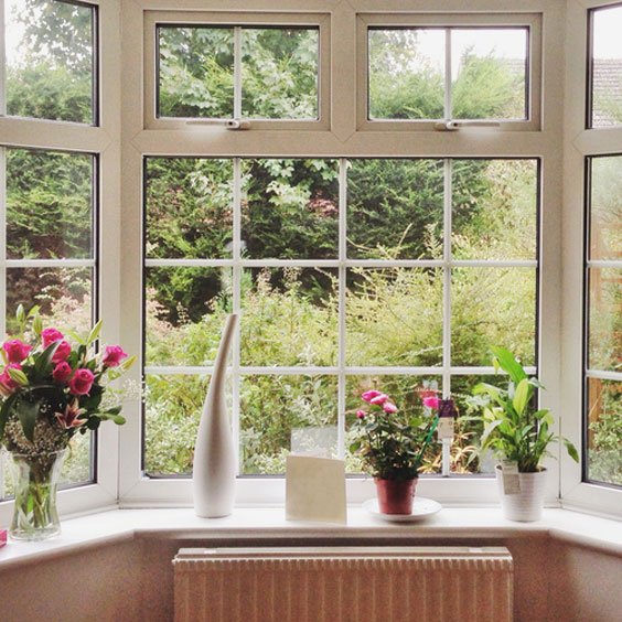 Window Services
