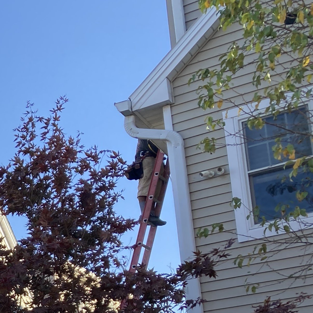 Shingle Roofing Replacement in Rock Island, Illinois